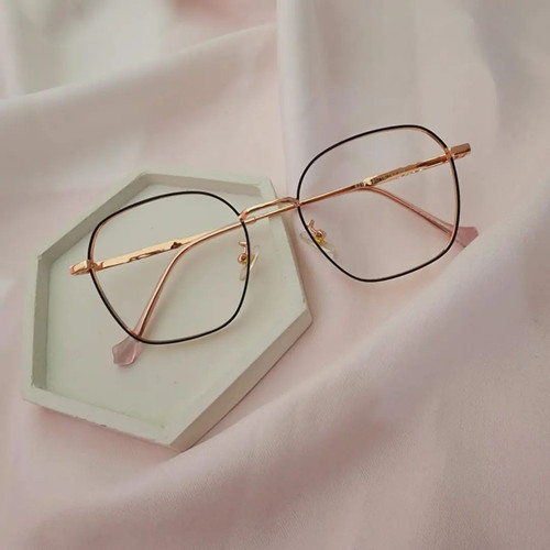 optikthamringatsu 294735266 3152686445061263 4542691471251376647 n.jpg