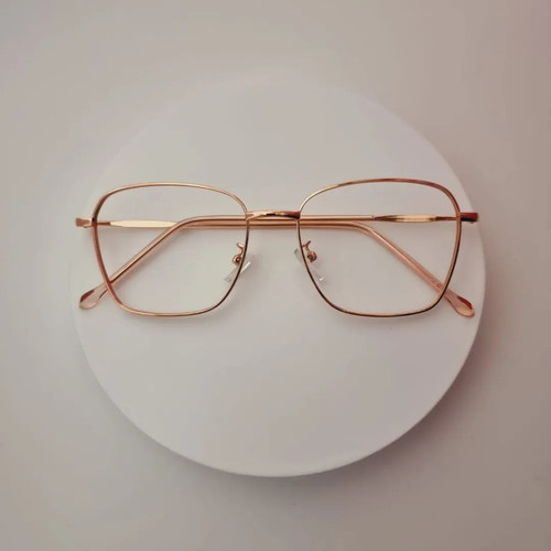 optikthamringatsu 279218587 1111271559418082 5208146127850391908 n.jpg