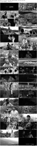 Embrace.of.the.Serpent.2015.BluRay.1080p.DTS HD.MA5.1.x265.10bit BeiTai preview.jpg