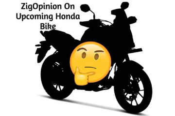 zig 360X240(393).jpg