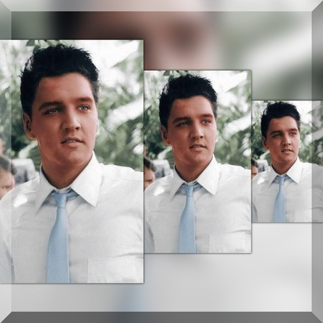 8132731x5oTddDb (1).jpg