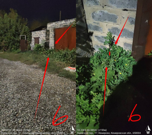 signal 2022 09 12 22 29 07 914.jpg