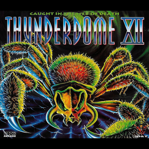 thunderdome 12 cover.jpg