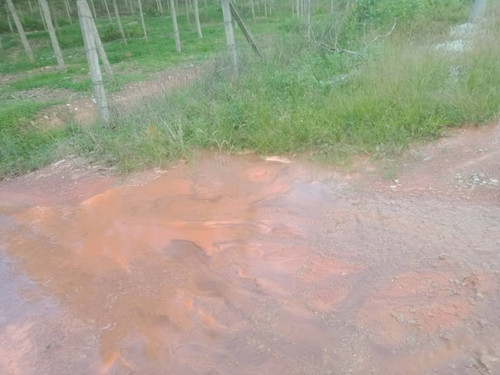 WhatsApp Image 2022 09 13 at 8.36.44 AM.jpg