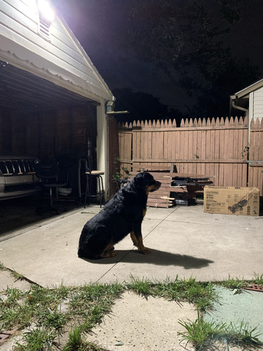 49602827 DBD8 4637 8EEE 94EB9F49F229.jpg