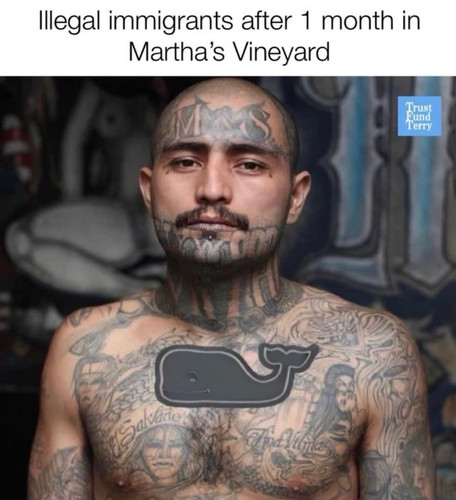 E4D6122A 3EBA 46A0 BBE5 0B5AC4265393.jpg