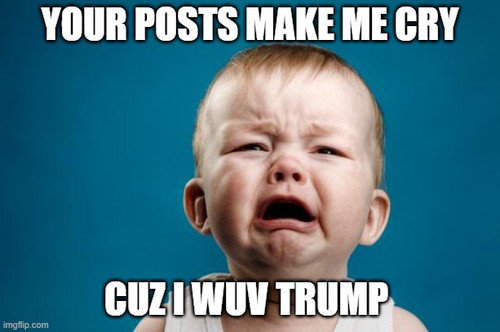 Crying MAGA baby.jpg