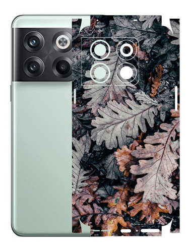 OnePlus 10T 5G DryLeaves.jpg