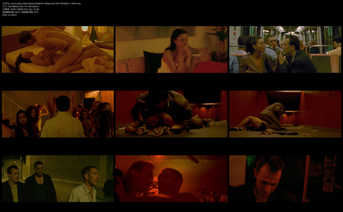 Irréversible.2002.BluRay.REMUX.1080p.AVC.DTS HD.MA5.1 HDS.mkv.png