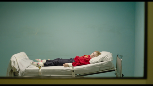 System.Crasher.2019.BluRay.REMUX.1080i.AVC.DTS HD.MA5.1 HDS.mkv 20220914 140030.527.png