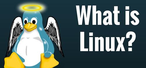 linux.jpg