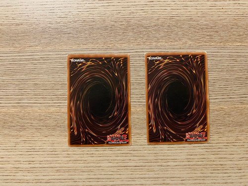 305190117 469913348187358 7711356224952727175 n.jpg