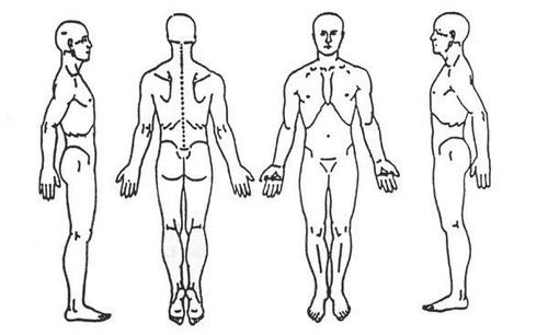 bodydiagram.jpg