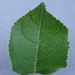 0fef497f 8fc7 45ee ad1c f4e9237fdaf4 RS HL 7283.jpg