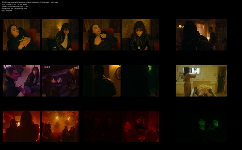 Lux.Aeterna.2019.BluRay.REMUX.1080p.AVC.DTS HD.MA5.1 HDS.mkv.png