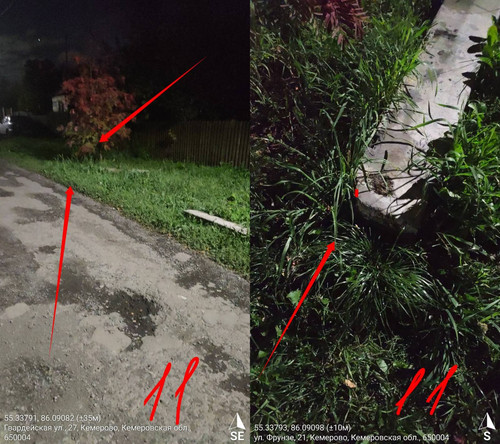 signal 2022 09 12 22 29 07 914 6.jpg