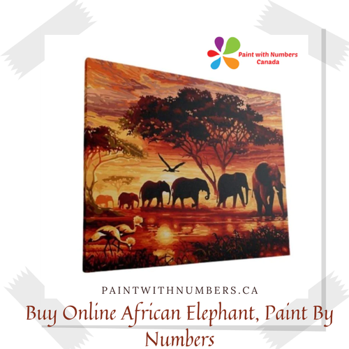 Buy Online African Elephant, with Paint By Numbers Canada.png