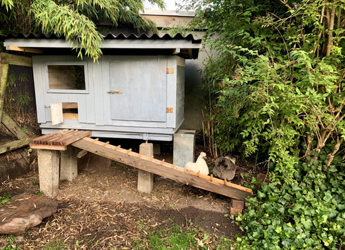 AE0CDC83 E837 4502 9528 7B0785FE0D05.jpg