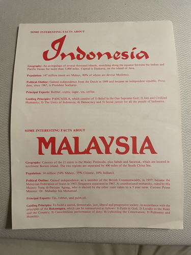 6. Malaysian:Indonesian festival4.jpg