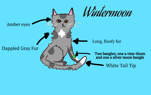 Screenshot 2022 09 11 8.34.01 AM.png