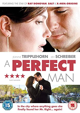 Idealny człowiek / A Perfect Man (2013) PL.480p.WEB-DK.x264-wasik / Lektor PL