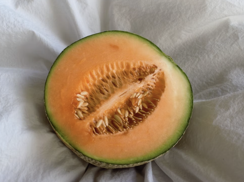 melon.png