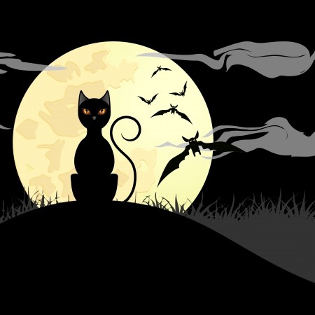 BlackCatWithYellowMoon.jpg