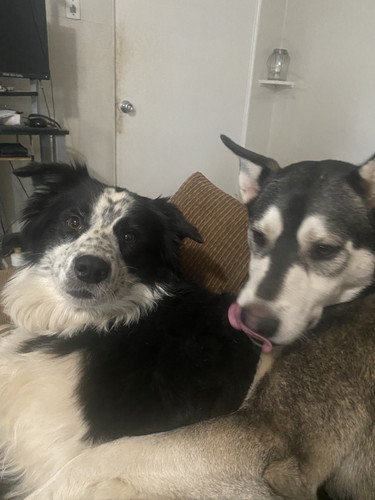 07FF9CAD 9D31 4F82 B8B6 3173DADED43F.jpg