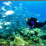 scubadiver