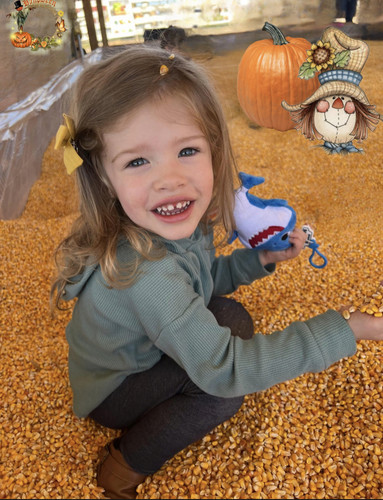 919589B1 9489 46A7 B8DC 725A7670CCFA.jpg