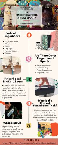 IS FINGERBOARDING A REAL SPORT.jpg