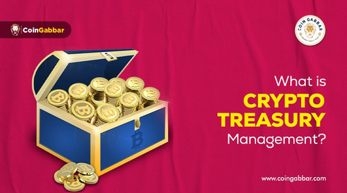 What is Crypto Treasury Management A Complete Guide.jpg