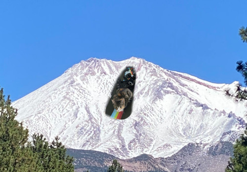 980091B0 5DDF 40A9 B06C 2CAA71A49C68.jpg