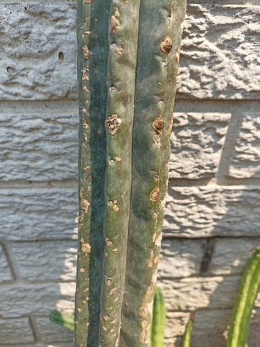 WhatsApp Image 2022 10 09 at 10.32.00 AM (1)