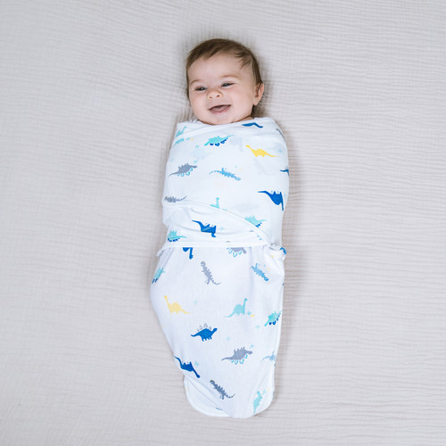 0842332149008 EWSK30003 3 aden wrap swaddle 3pk dino rama 3.jpg