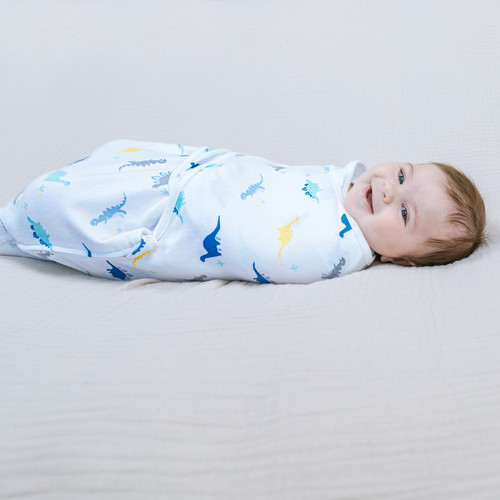 0842332149008 EWSK30003 3 aden wrap swaddle 3pk dino rama 4.jpg