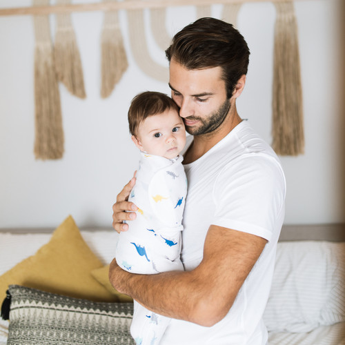 0842332149008 EWSK30003 3 aden wrap swaddle 3pk dino rama 5.jpg