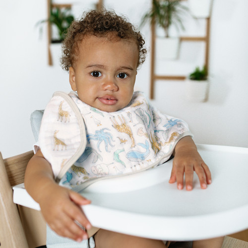 EBBC10017 EBBC10017E 5 essentials cotton muslin burpy bib natural history single.jpg