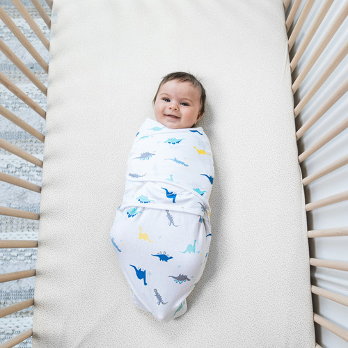 EWSK30005 3 aden wrap swaddle 3pk dino rama 8.jpg