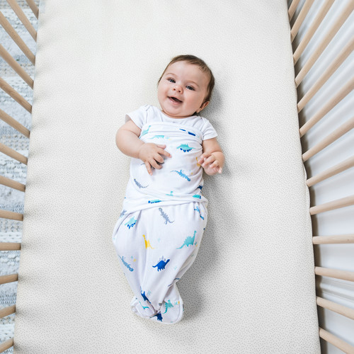 EWSK30005 3 aden wrap swaddle 3pk dino rama 11.jpg