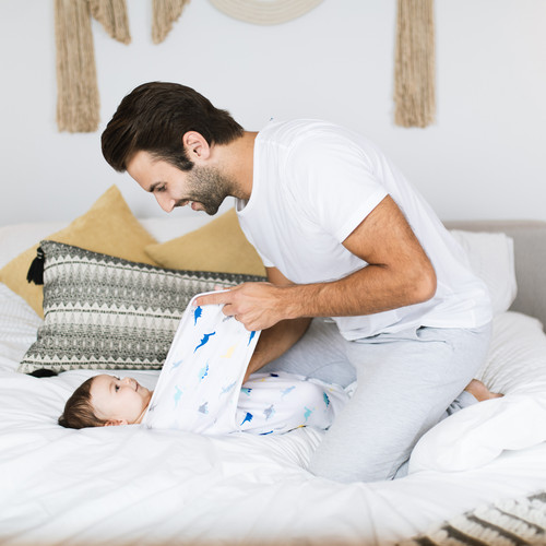 EWSK30005 3 aden wrap swaddle 3pk dino rama 14.jpg