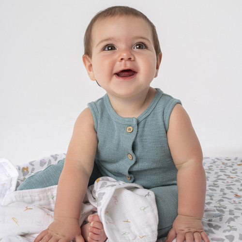 EMBC10019 3 dreamblanket alphabet animals.jpg