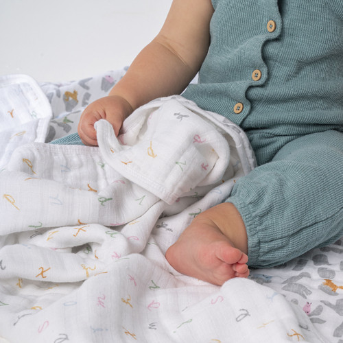 EMBC10019 4 dreamblanket alphabet animals.jpg