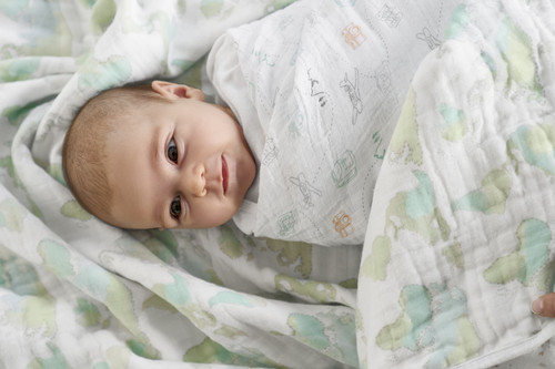 ESWC40018T 2 swaddle4pk voyager.jpg