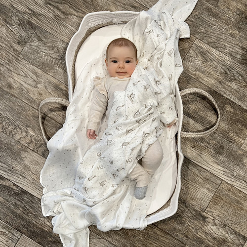 ESWS20005T 6 essentials silky soft muslin swaddle healing nature 2pack.jpg