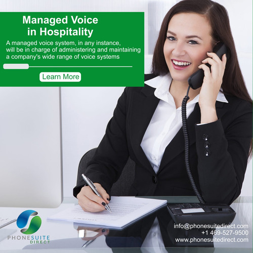 Managed Voice in Hospitality.jpg