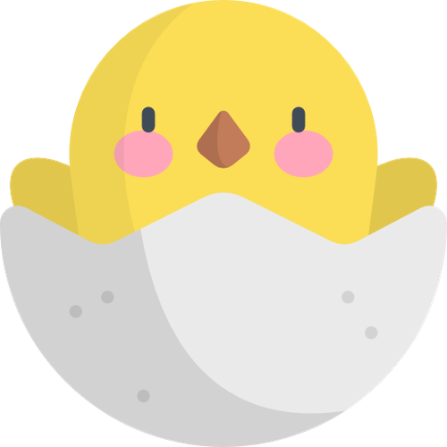 chick.png