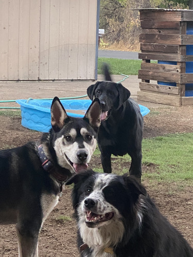 C4CFDC2F C946 4590 B23D F9021D3F2C45.jpg