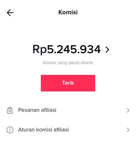 Komisi (23).jpg