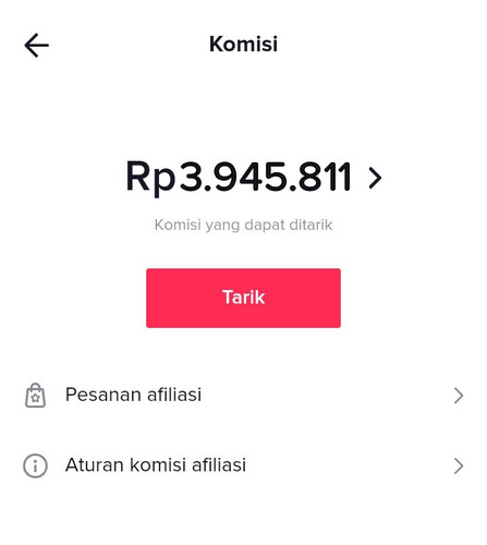 Komisi (22).jpg